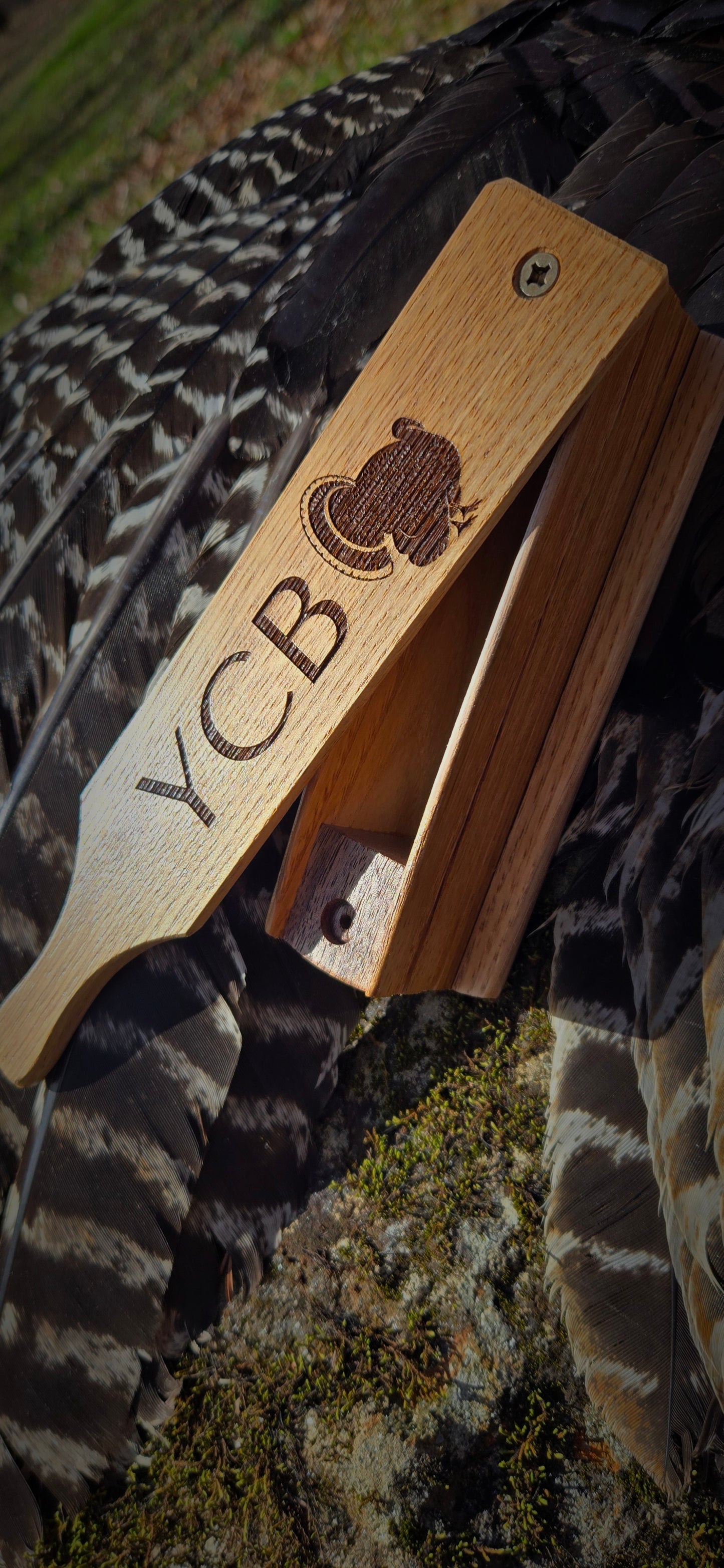 Chestnut Box Call
