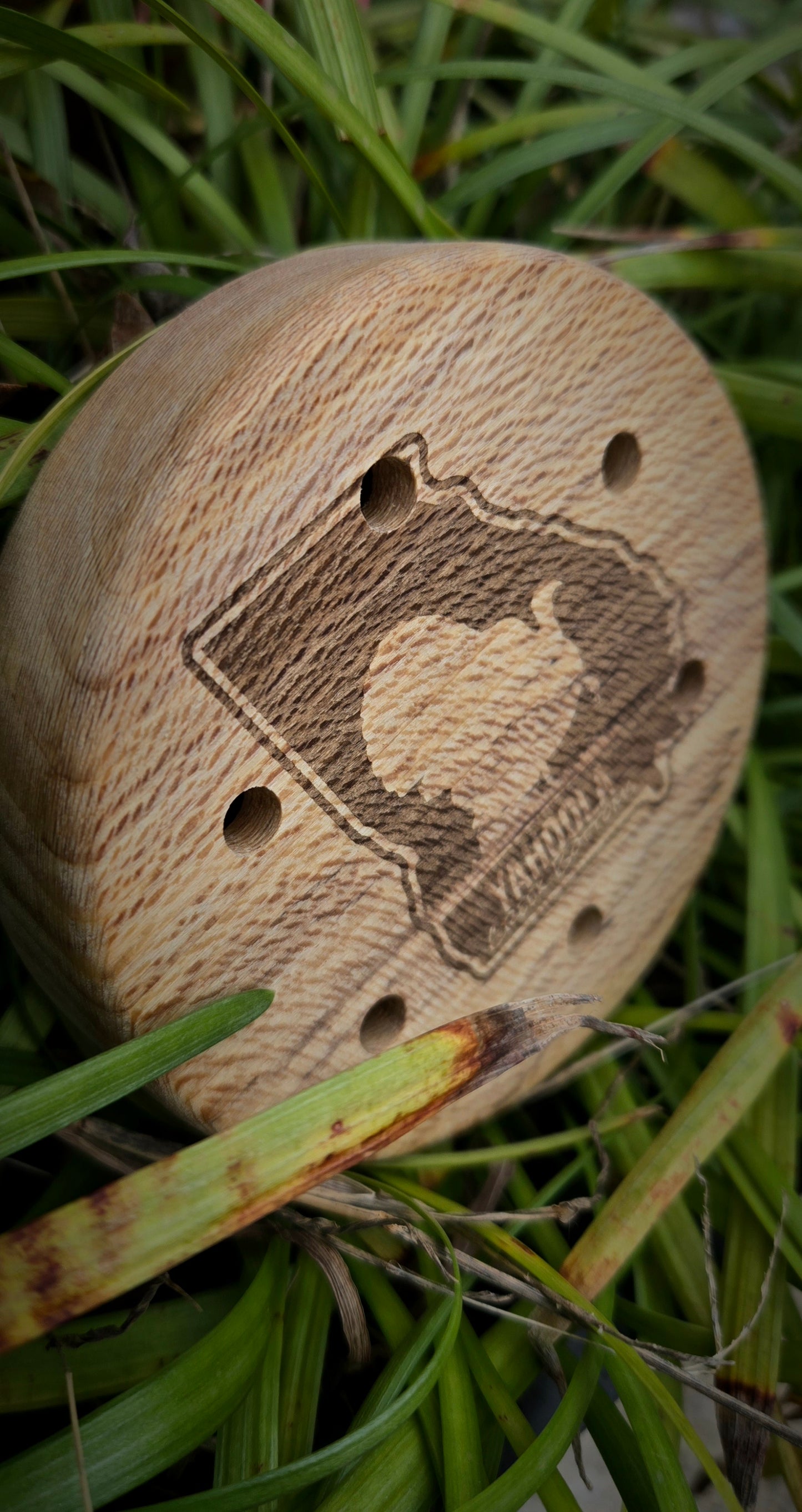 3.5" Sycamore pot