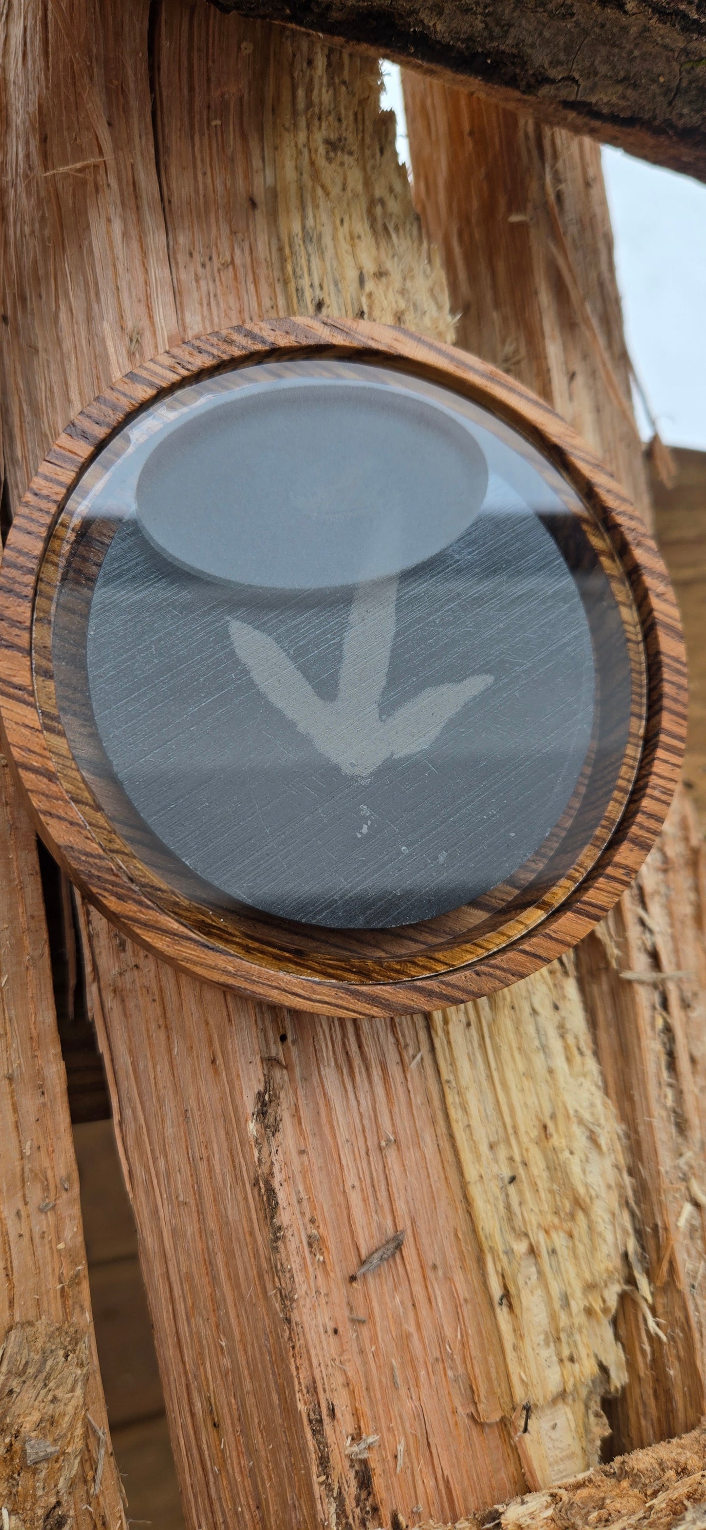 Double-sided zebra wood pot