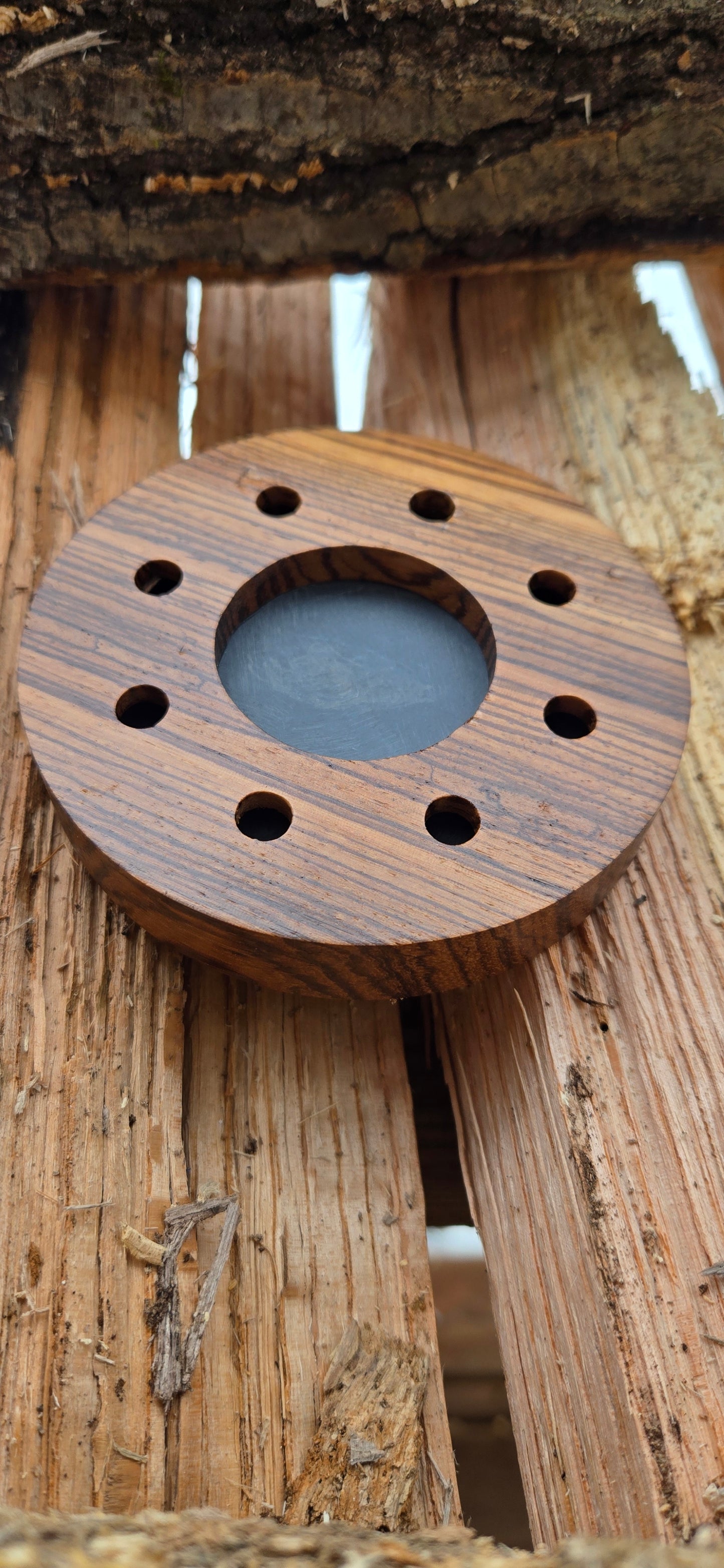 Double-sided zebra wood pot