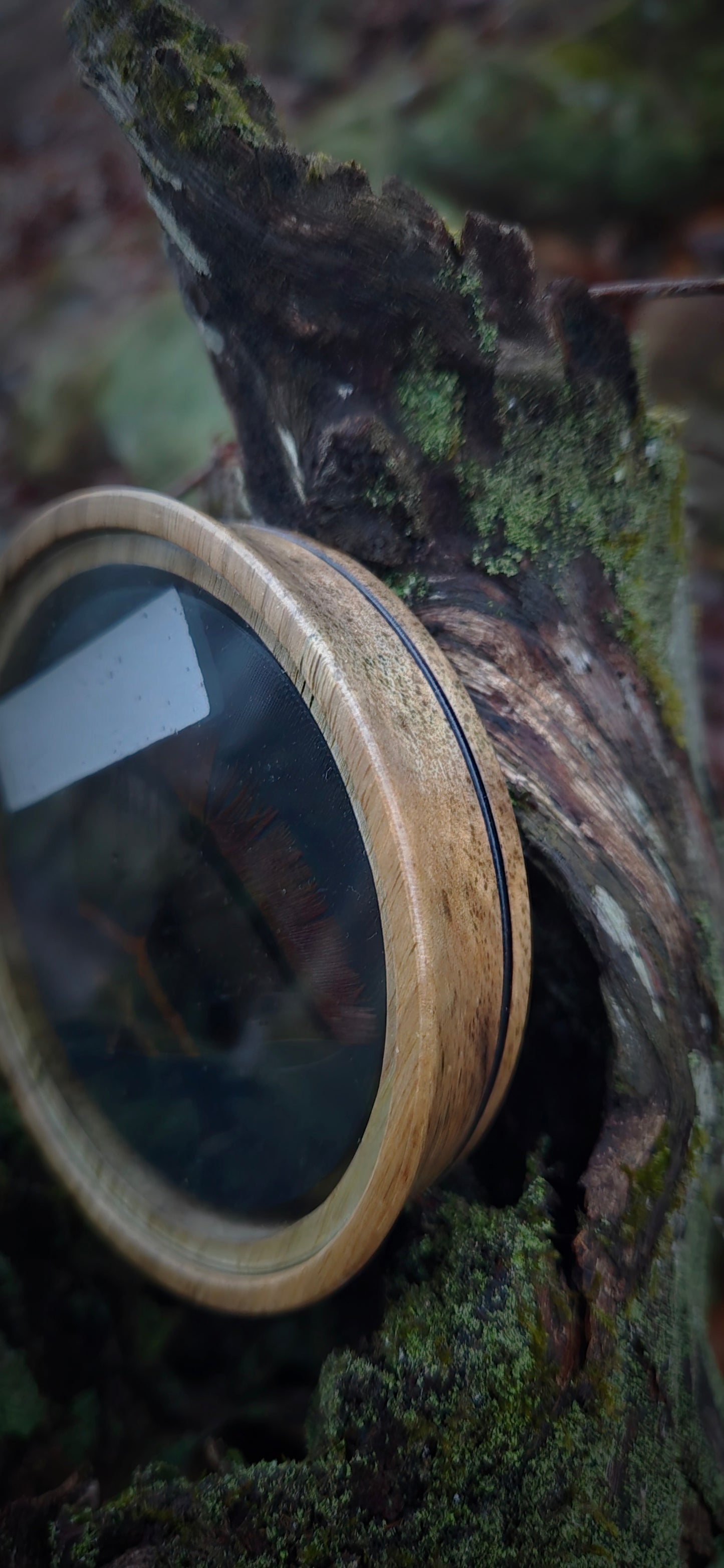 3.5" pot Black limba