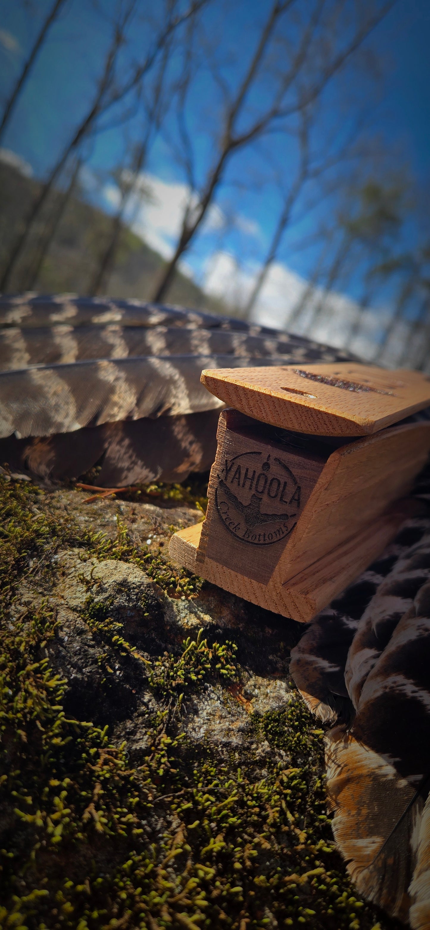 Chestnut Box Call
