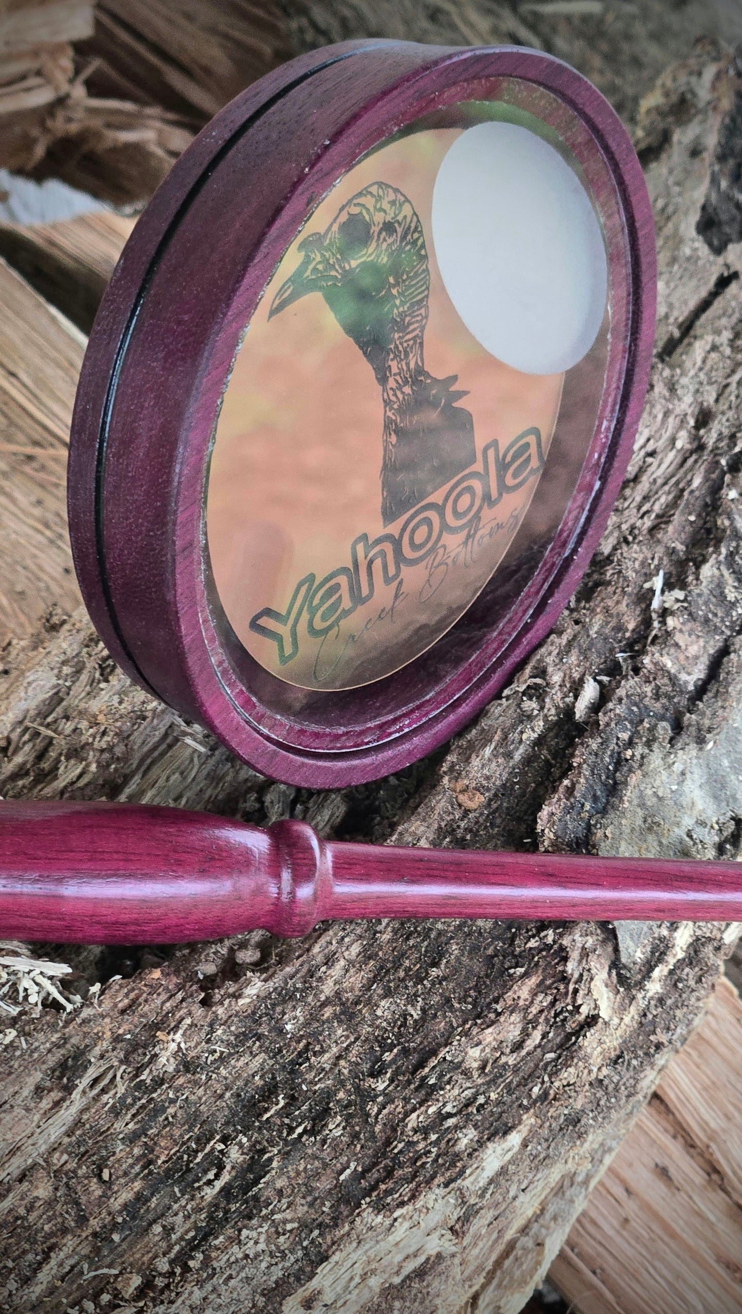 Golden Clucker purple heart pot