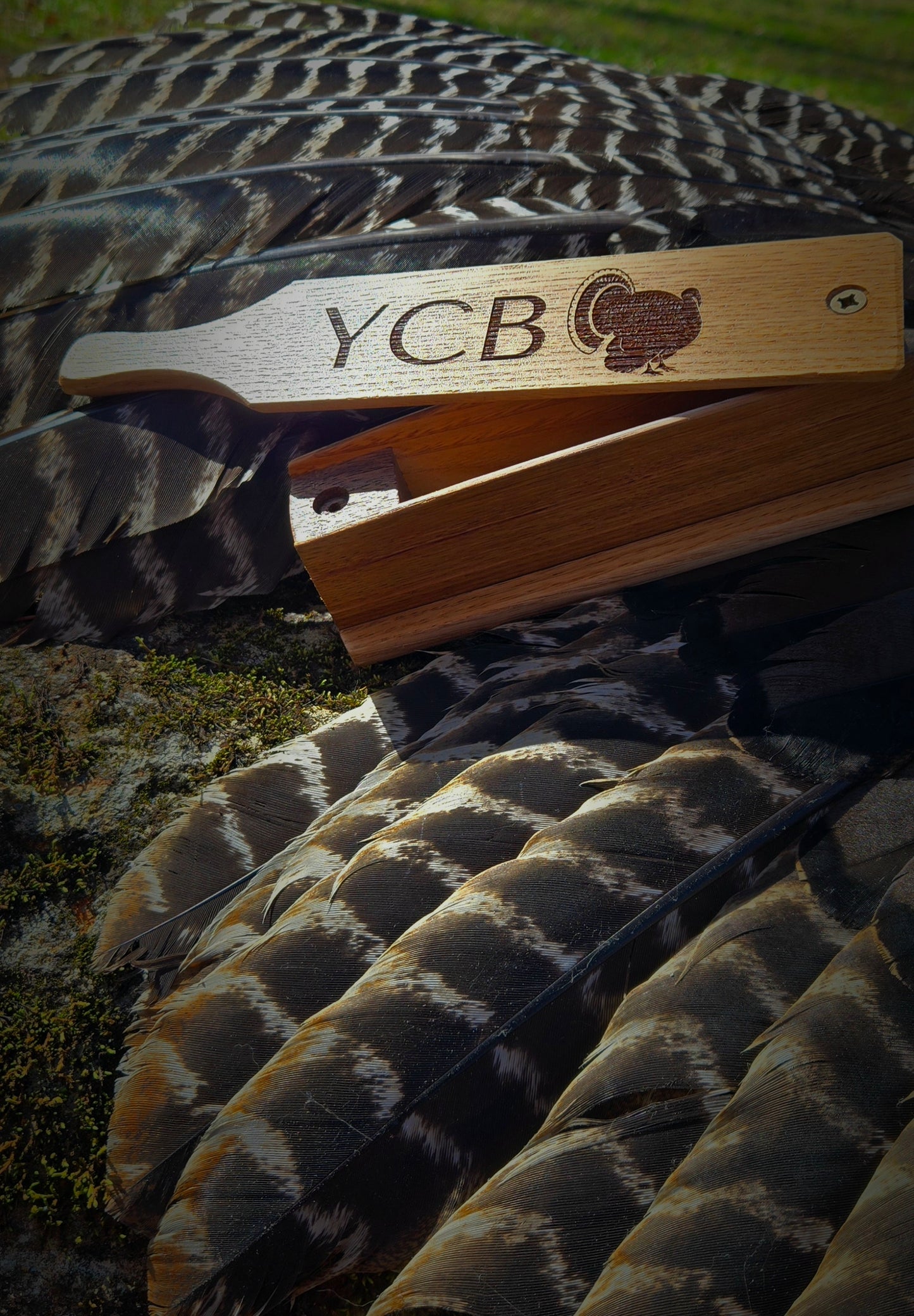 Chestnut Box Call