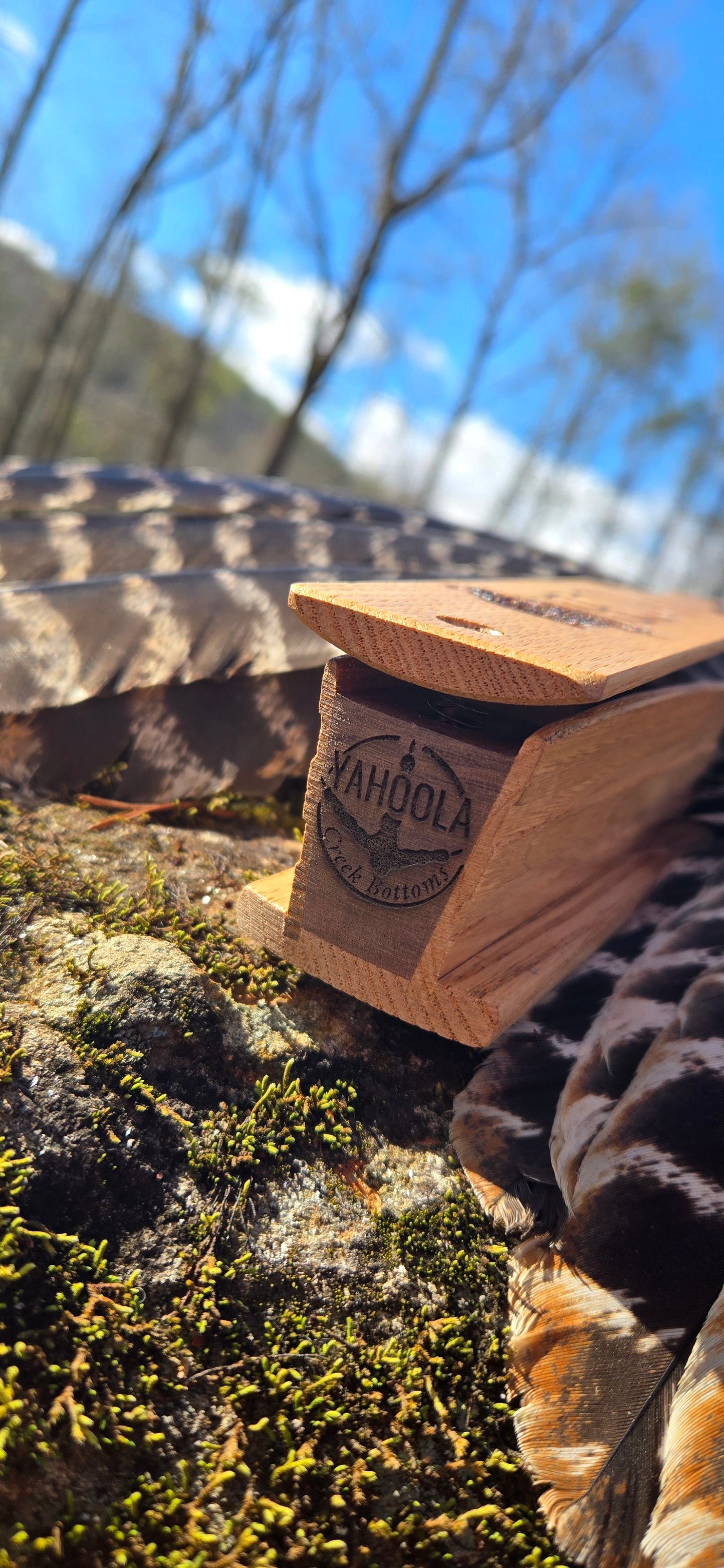 Chestnut Box Call
