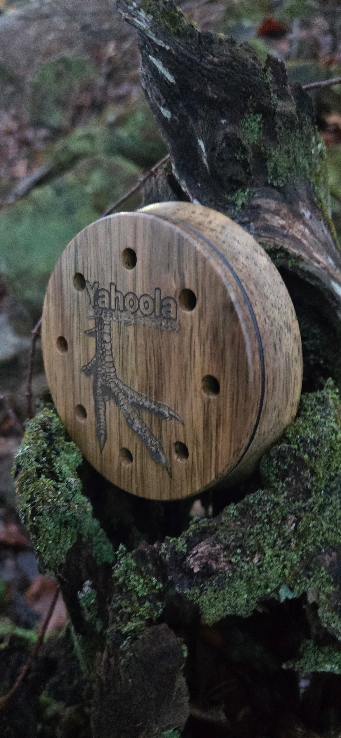 3.5" pot Black limba