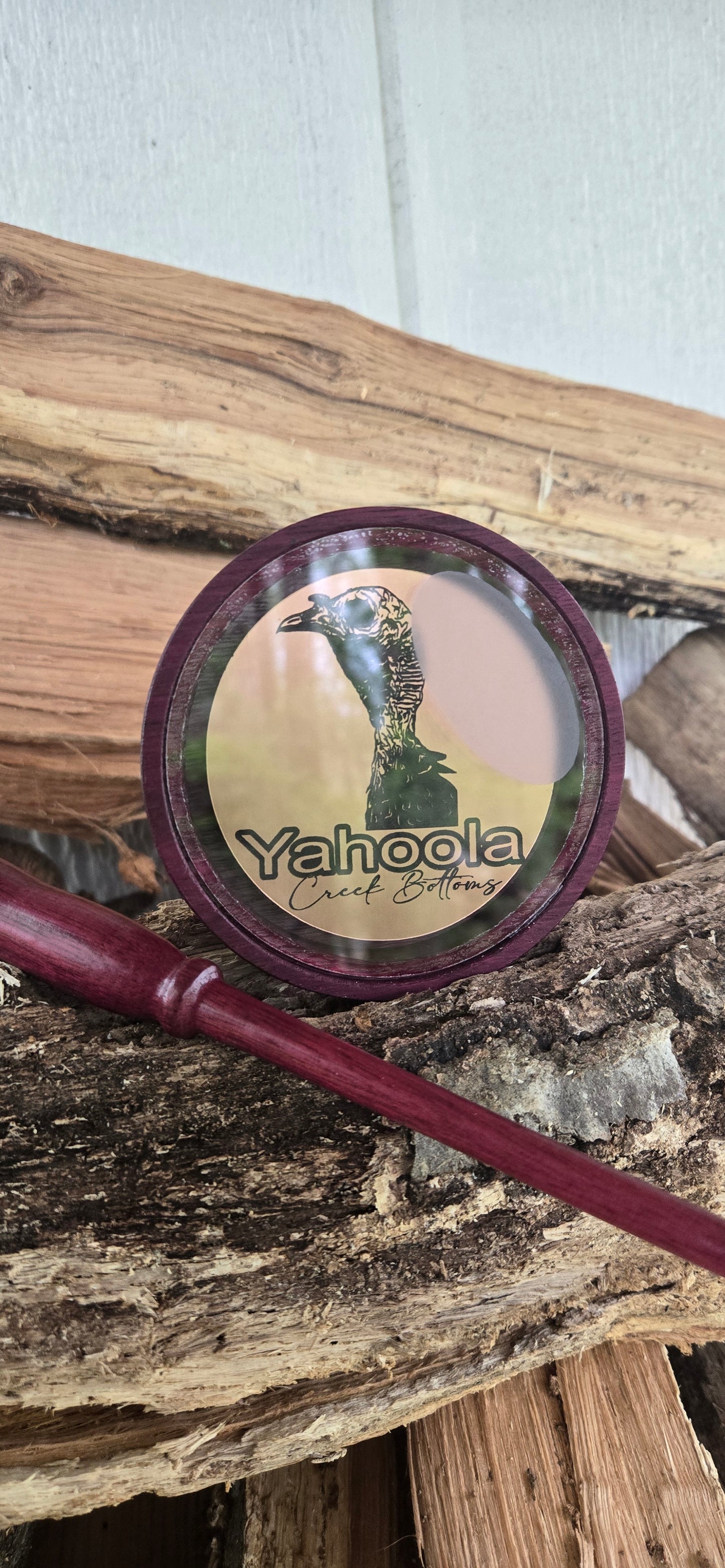Golden Clucker purple heart pot