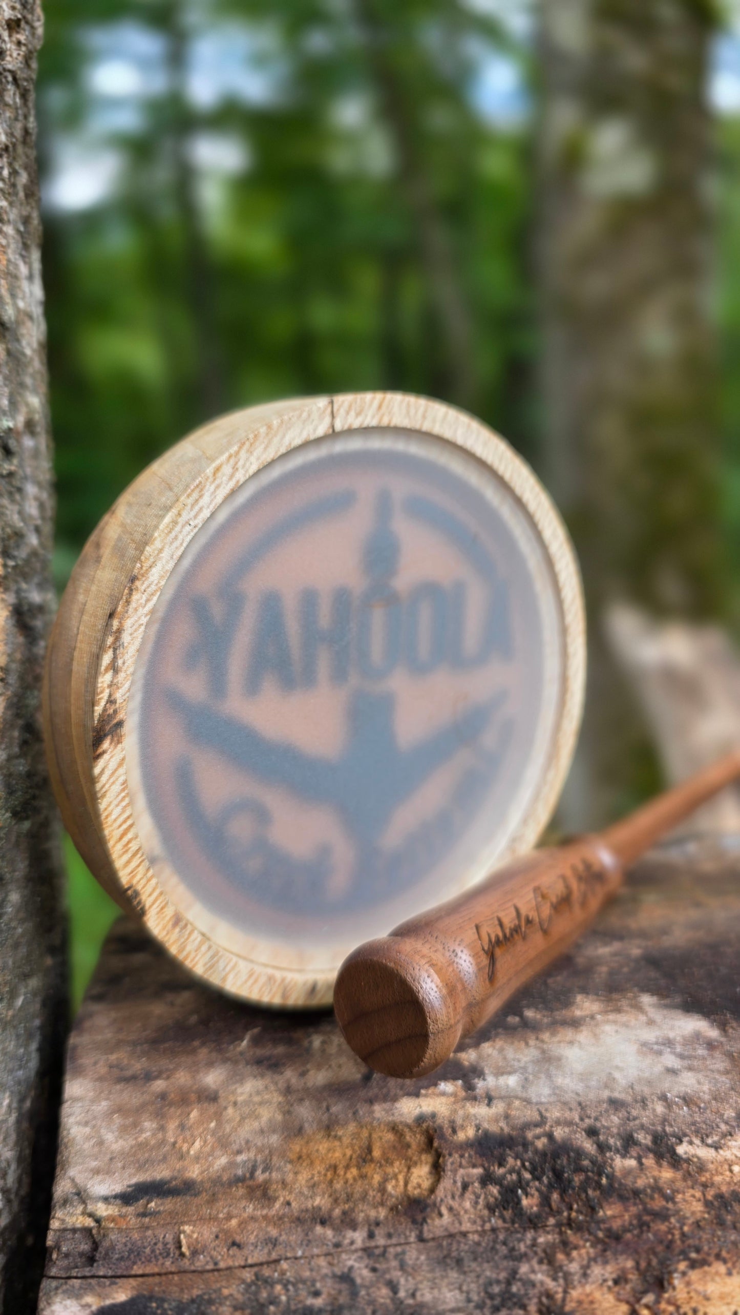 3.5" Spalted Sycamore
