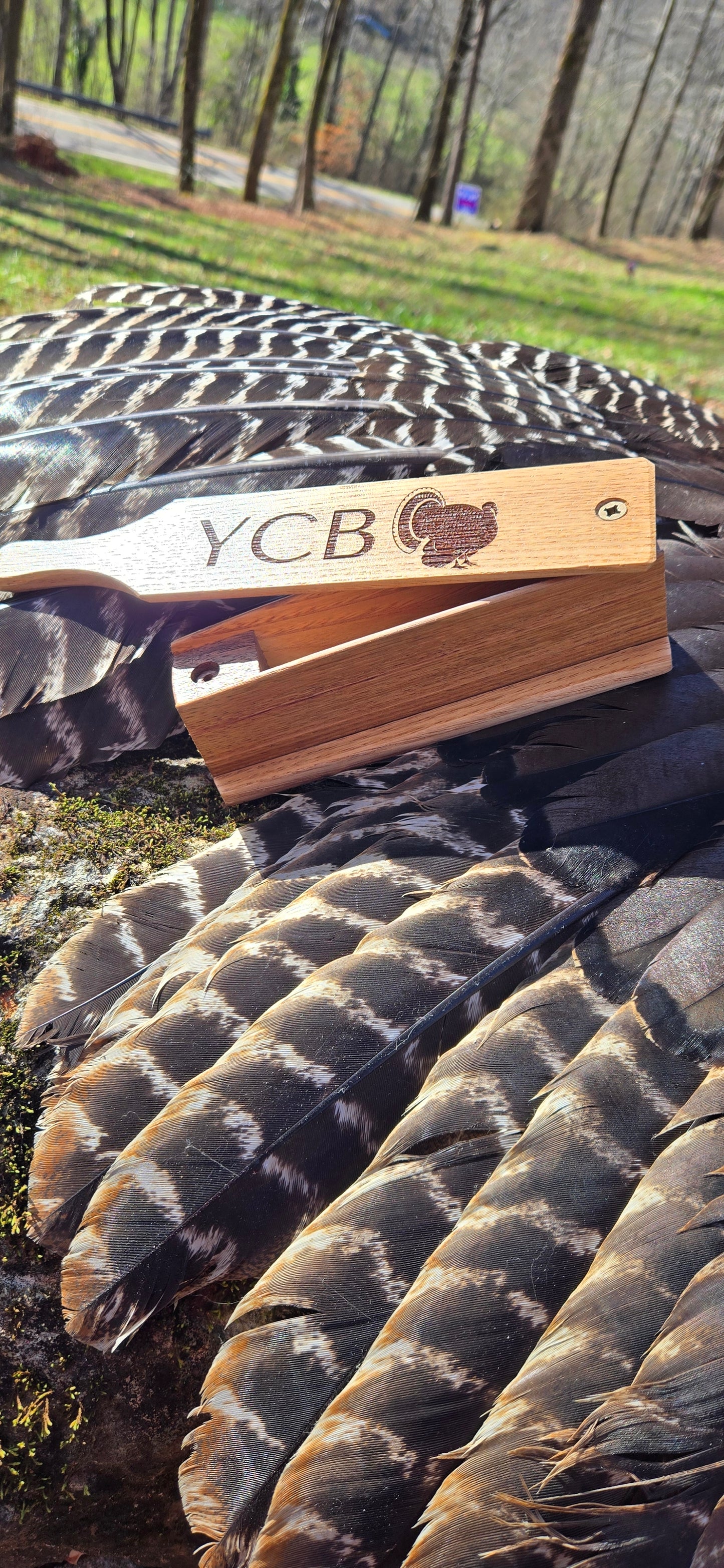 Chestnut Box Call