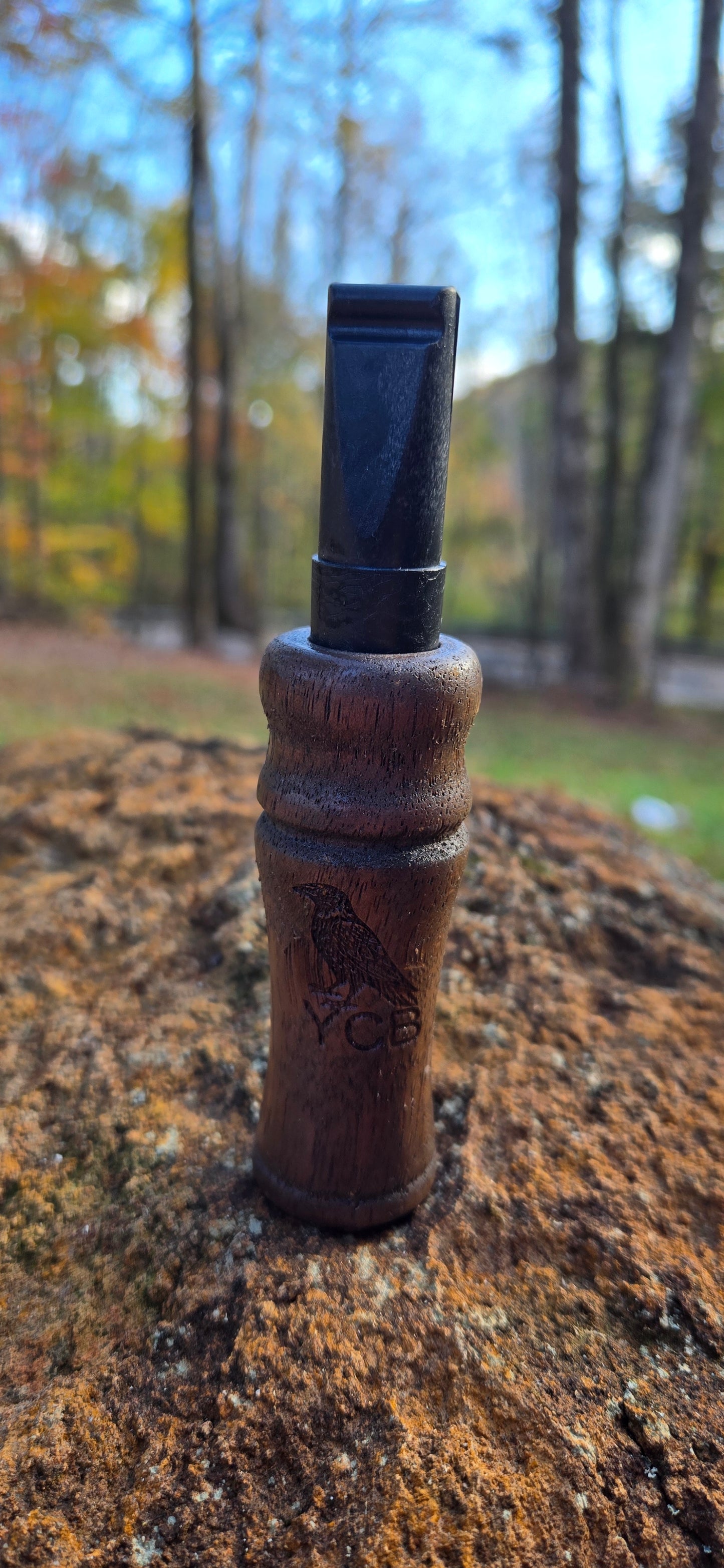 Walnut Crow call